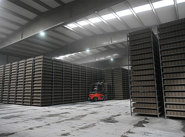 Pomza Taşının Yapı Sektöründeki Önemi